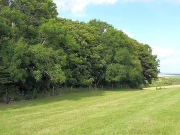 Open grass pitches