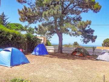 Pitched tents in caravan park