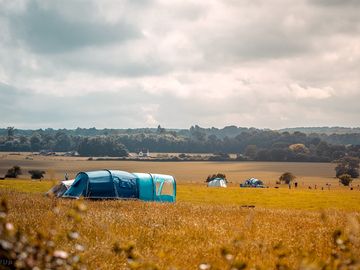 Grass pitches