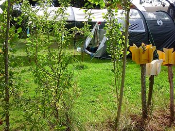 Tent pitches