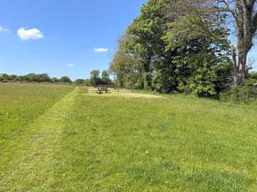 Hay meadow pitch