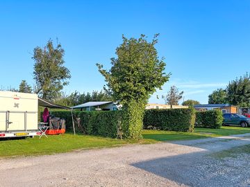 Grass pitches