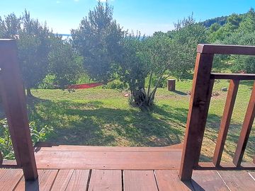 View of the ptiches from the kitchen
