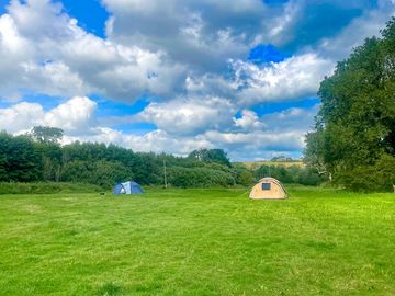 Tent pitches