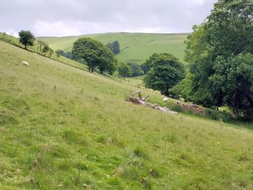 Sheep grazing on the hills