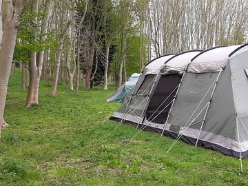 Woodland pitches
