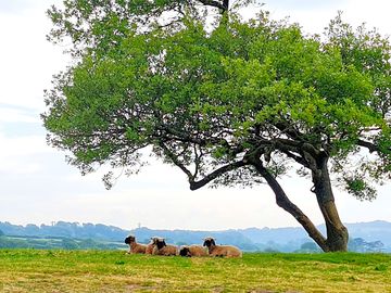 Lovely rural scenes all round