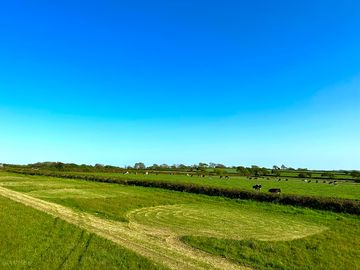 Grass pitches