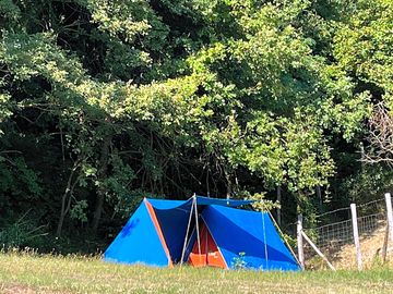 Spacious tent pitch