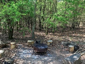 Firepit and grill provided