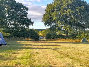 Visitor image - Lower and top fields