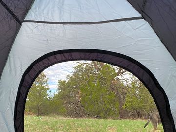 Inside the rental tent with space for storage of gear.