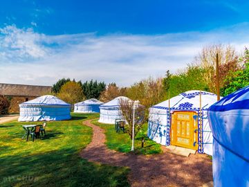 The yurts on site