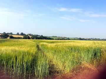 Surrounding fields