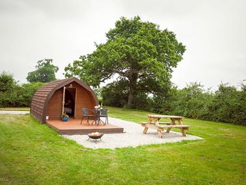 Oak pod