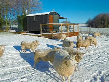 The site in winter