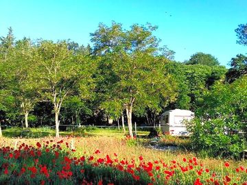 Pitches and poppy fields