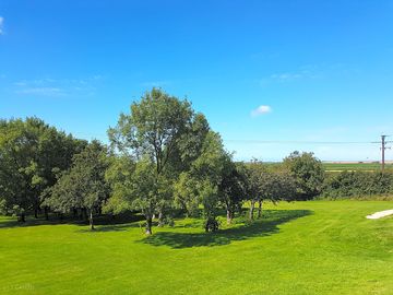 Camping pitches