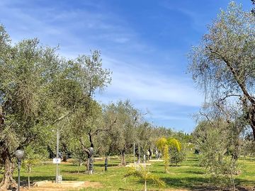 Tree-shaded pitches