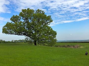 View of surrounding fields