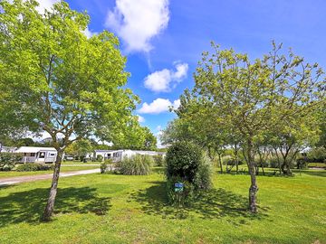Partially shaded grass pitches