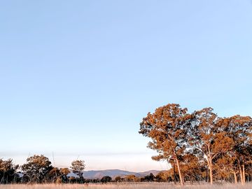 Views of girraween national park