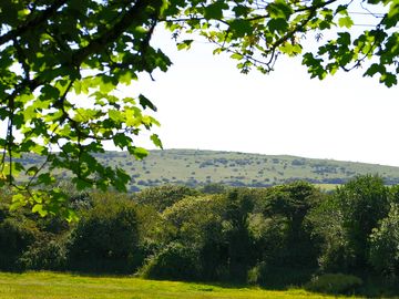 Cornish views