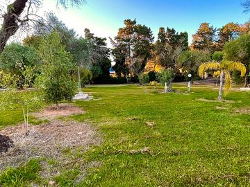 Piazzola con corrente
