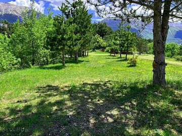 Pitches partially shaded by trees