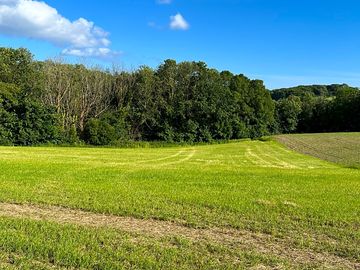 Grassy pitches