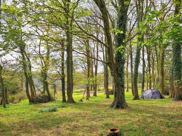 A wildlife haven for nature enthusiasts