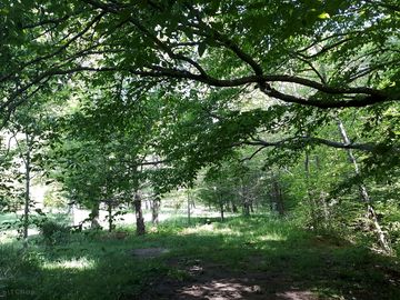 Pasture and sediment ponds
