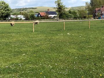 Five and a half acres of grass