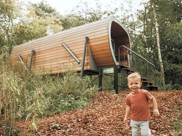 Spacious accommodation among the trees