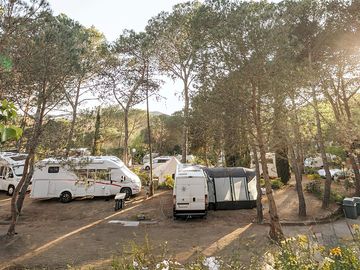 Parcela rodeada de naturaleza y muchos árboles