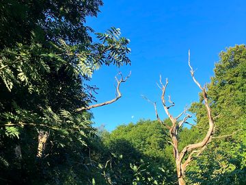 Beautiful start to the day