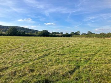 View from the site