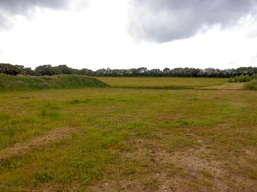 Grass for the motorhomes