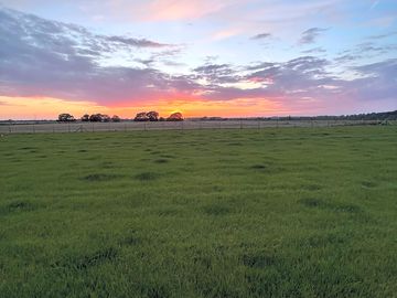 Campsite view