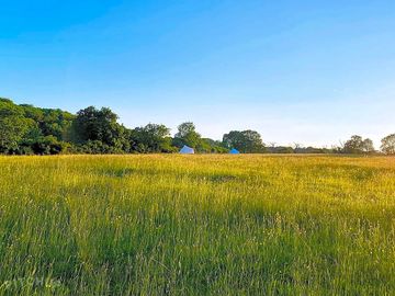 The meadow on a summer's day