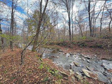 End of summer along the creek
