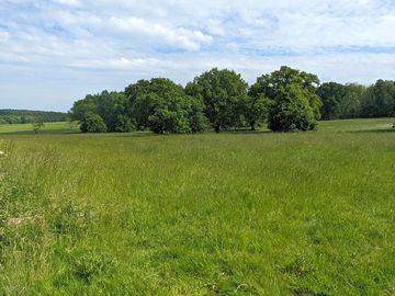 Green countryside