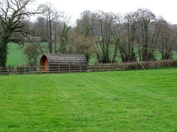 Pod in a quiet corner of the field