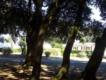 Pitches in shade