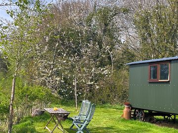 The hampshire hut
