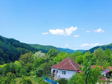 View of the site from the terrace