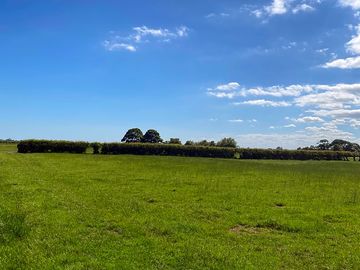 One of the meadows for camping