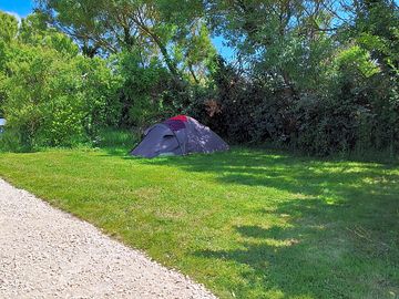 Tent pitches on the grass