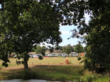 View through the trees