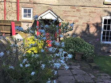 Front of the house